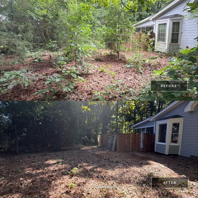 Before and after: full house remodel in Raleigh, NC, photo 25