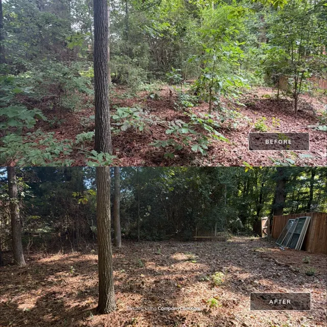 Before and after: full house remodel in Raleigh, NC, photo 26