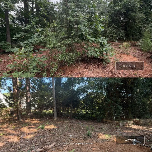 Before and after: full house remodel in Raleigh, NC, photo 28