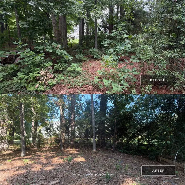 Before and after: full house remodel in Raleigh, NC, photo 29