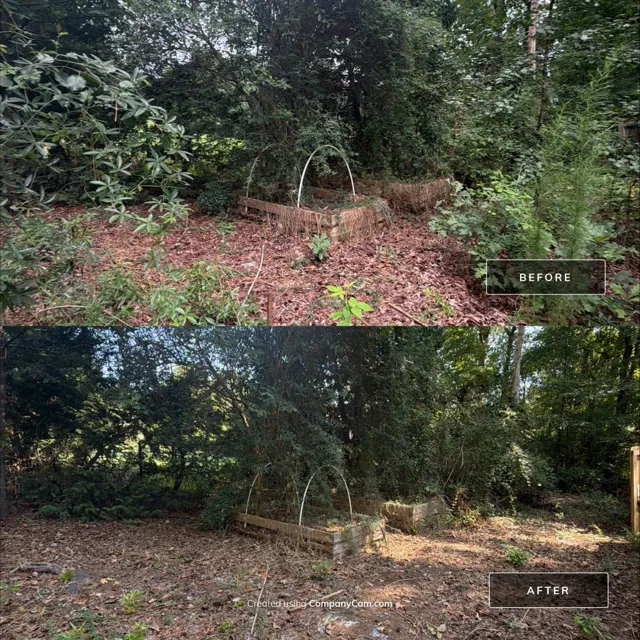 Before and after: full house remodel in Raleigh, NC, photo 31