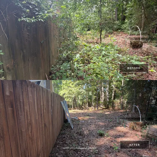 Before and after: full house remodel in Raleigh, NC, photo 32