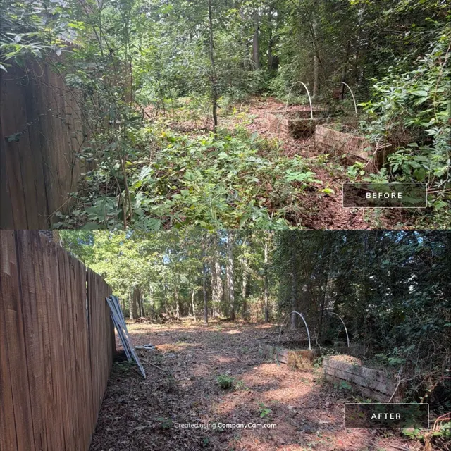 Before and after: full house remodel in Raleigh, NC, photo 33
