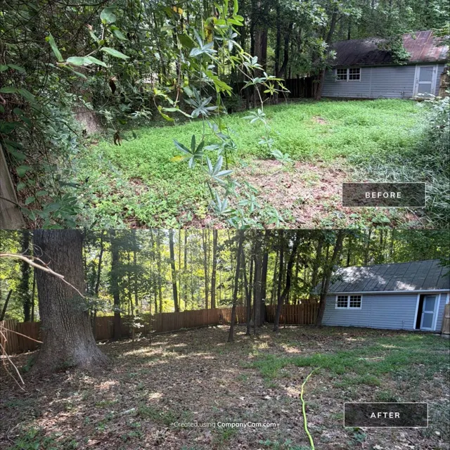 Before and after: full house remodel in Raleigh, NC, photo 36