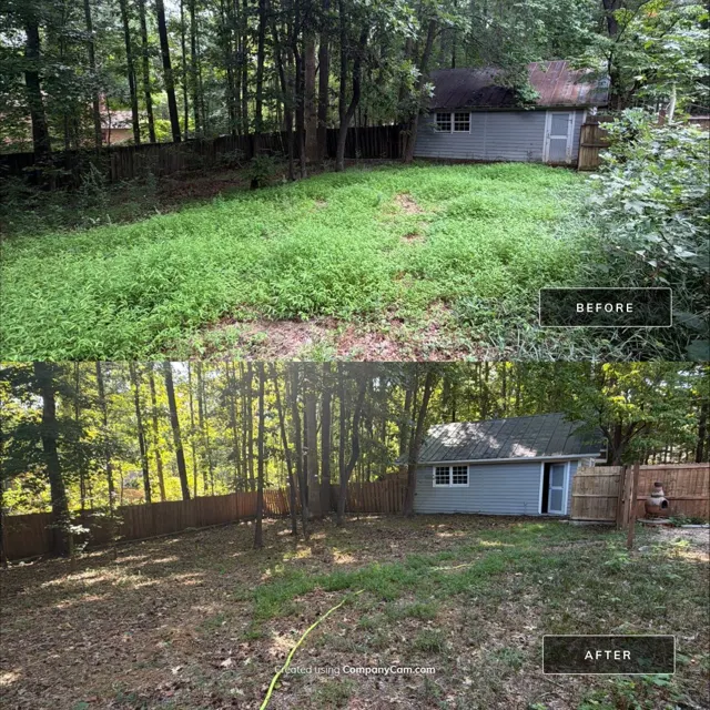 Before and after: full house remodel in Raleigh, NC, photo 37