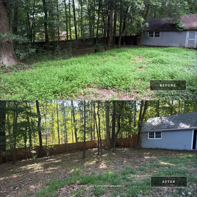Before and after: full house remodel in Raleigh, NC, photo 38