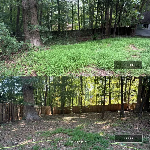 Before and after: full house remodel in Raleigh, NC, photo 39
