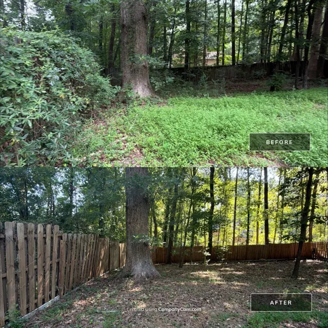 Before and after: full house remodel in Raleigh, NC, photo 40