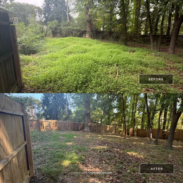 Before and after: full house remodel in Raleigh, NC, photo 42