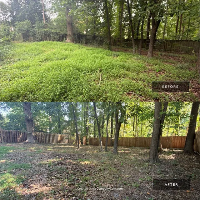 Before and after: full house remodel in Raleigh, NC, photo 43
