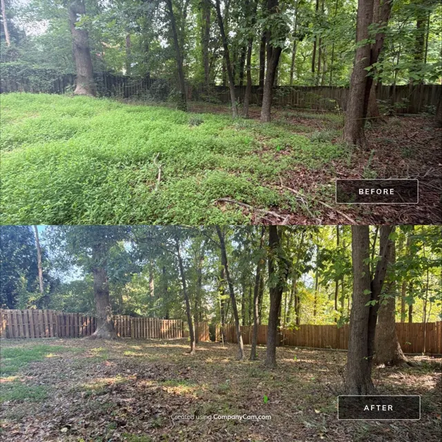 Before and after: full house remodel in Raleigh, NC, photo 44
