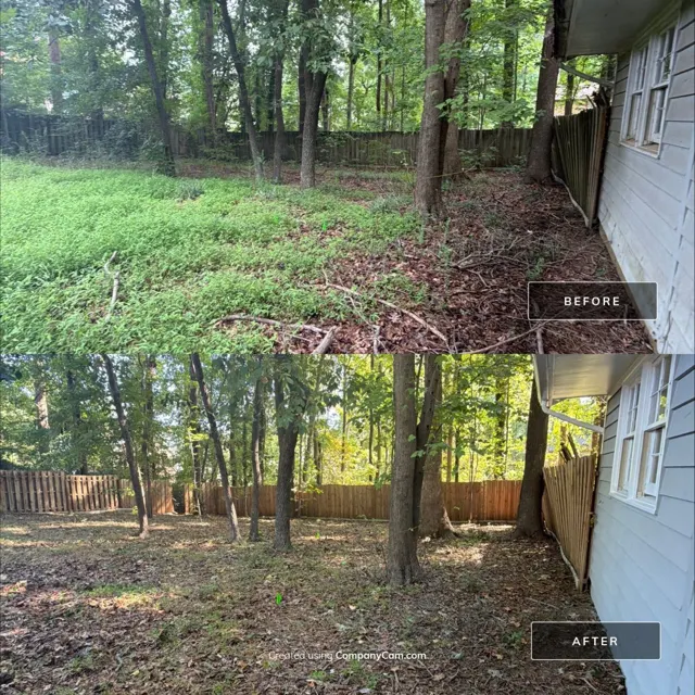 Before and after: full house remodel in Raleigh, NC, photo 45